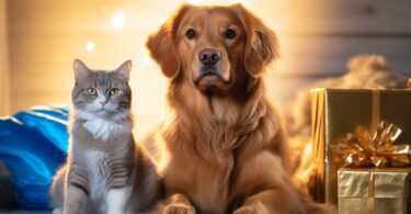 Black Friday pet deals