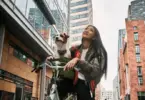 kvisp dog bike seat