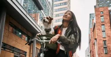 kvisp dog bike seat