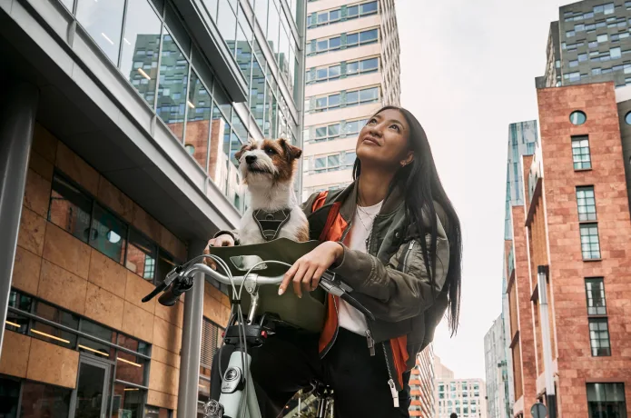 kvisp dog bike seat