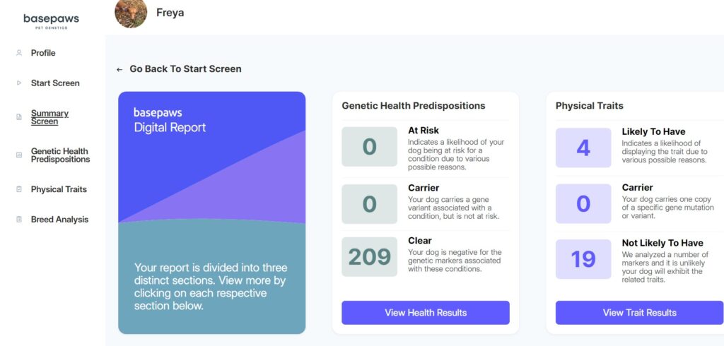 basepaws summary screen health