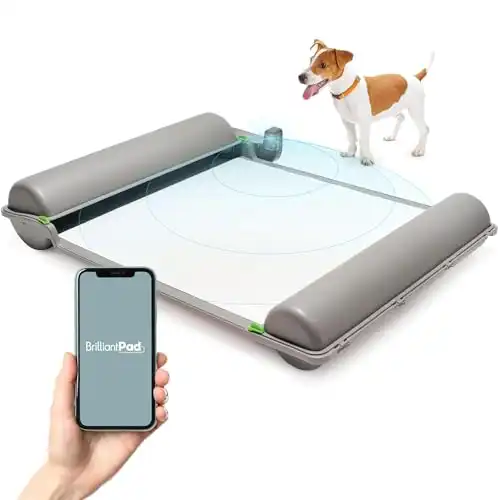 BrilliantPad Smart Indoor Dog Potty for Small Pets | Self Cleaning with Odor Control & AI Health Monitoring