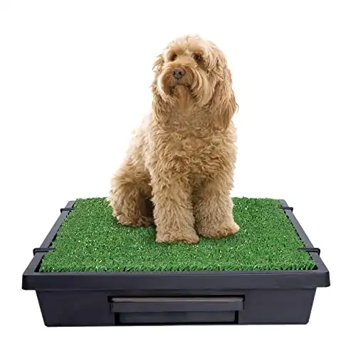 PetSafe Pet Loo Portable Dog Potty – Pet Toilet Alternative for Puppy Pads – Medium – Perfect for House Training – Easy-to-Clean Grass Mat