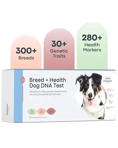 Basepaws Dog DNA Test: Comprehensive Breed, Trait, & Most Accurate Genetic Health Screening for Dogs
