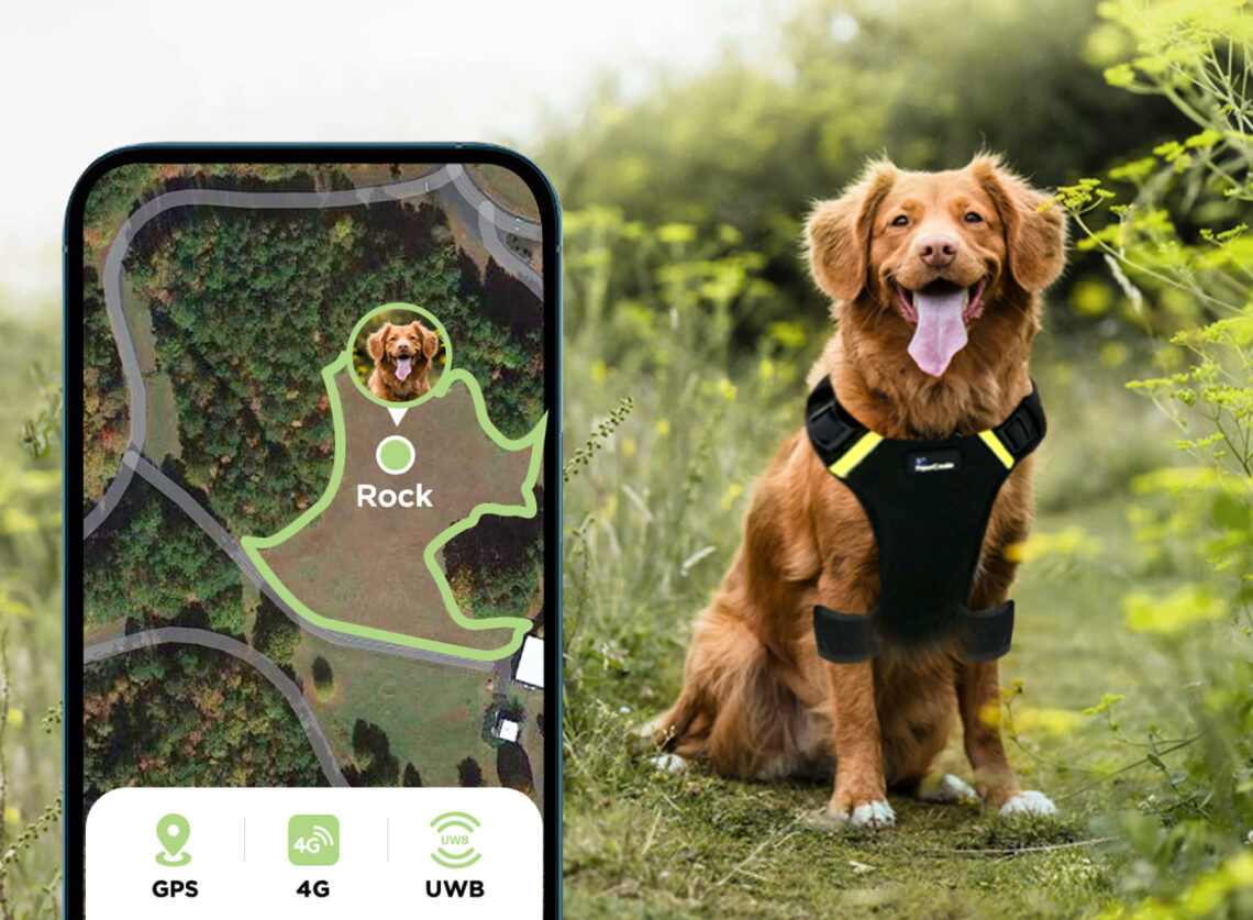 PawCode AirLeash
