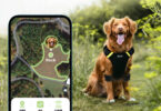 PawCode AirLeash