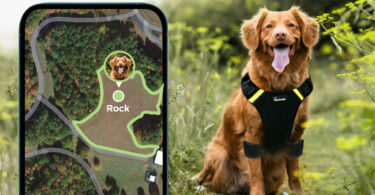 PawCode AirLeash