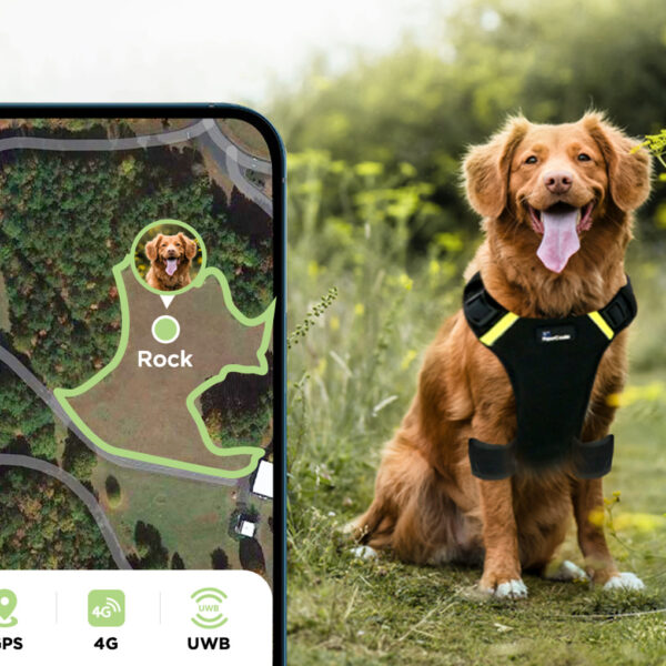 PawCode AirLeash