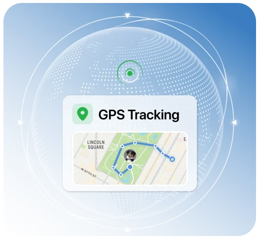 Minitailz GPS Tracking