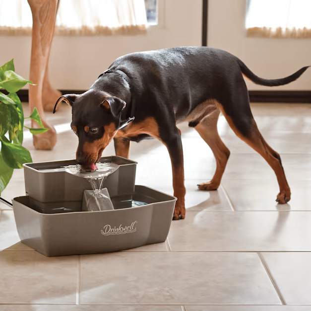 PetSafe Multi-Tier Fountain with100 Oz Capacity