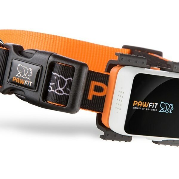 Pawfit Unveils Revolutionary Pet Tracker in the U.S., Promising a Leap in Pet Safety and Health