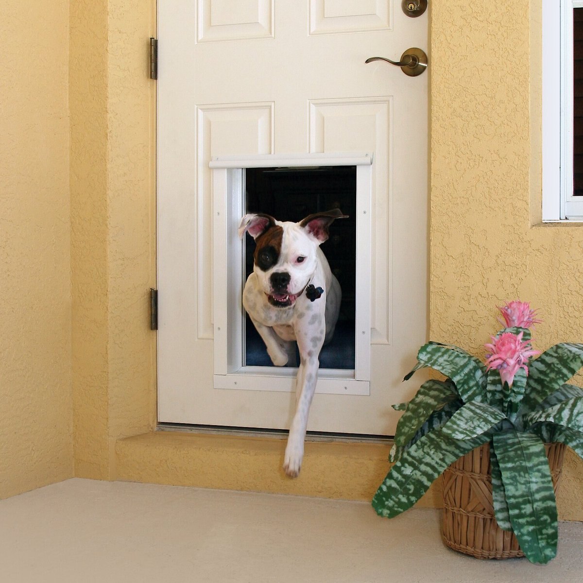 PlexiDor Performance Pet Doors for Dogs and Cats - Door Mount Dog Door with Lock and Key - White, X-Large Sizes