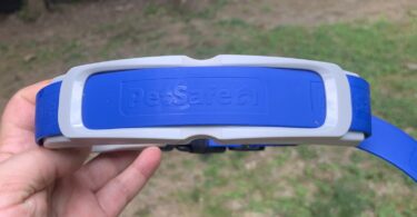 PetSafe Guardian GPS + Tracking Dog Fence Collar