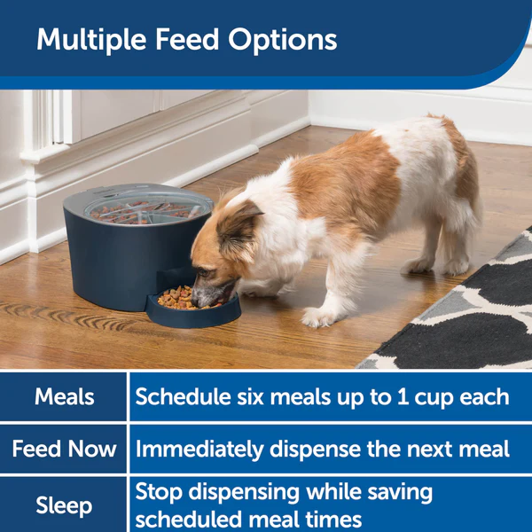 PetSafe Six-Meal Feeder Automatic Pet Feeder