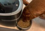 PetSafe Smart Feed Automatic Dog Feeder