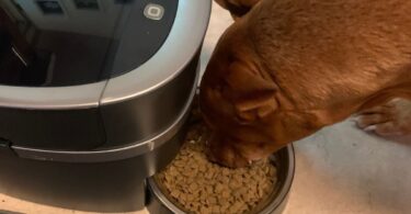 PetSafe Smart Feed Automatic Dog Feeder