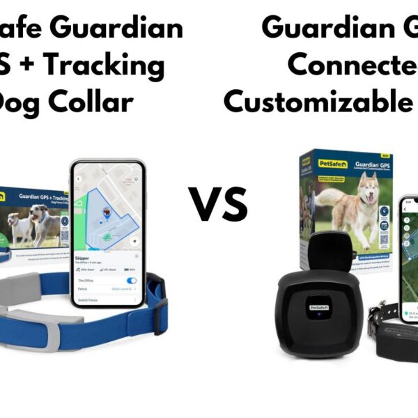 PetSafe Guardian GPS + Tracking Dog Fence Collar Vs Guardian GPS Connected Customizable Fence