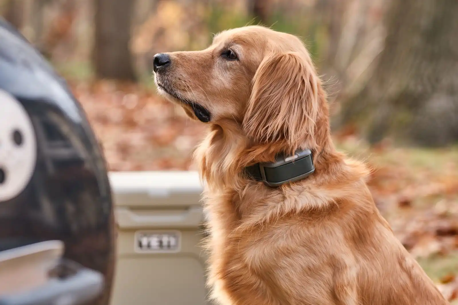 Heel Roam 350 Virtual Leash Dog Training Collar