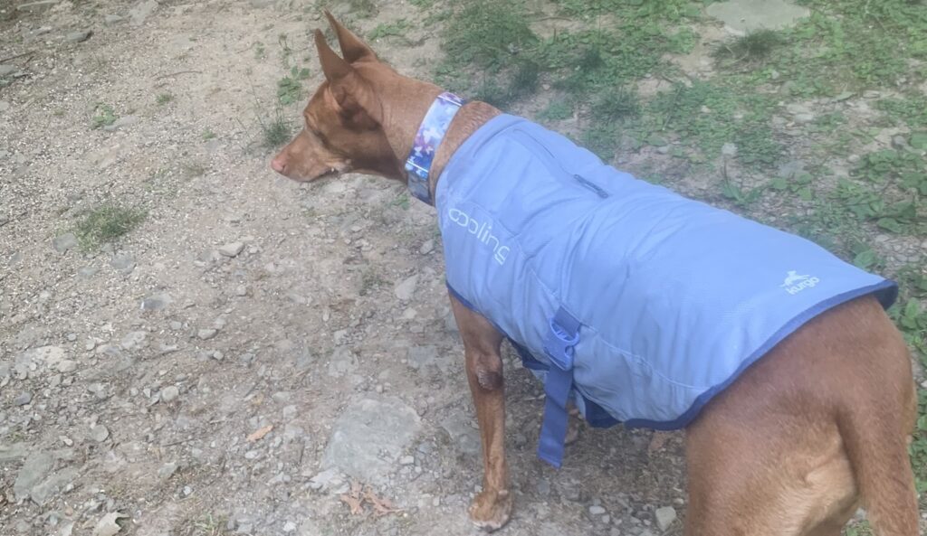 Kurgo Core Cooling Vest