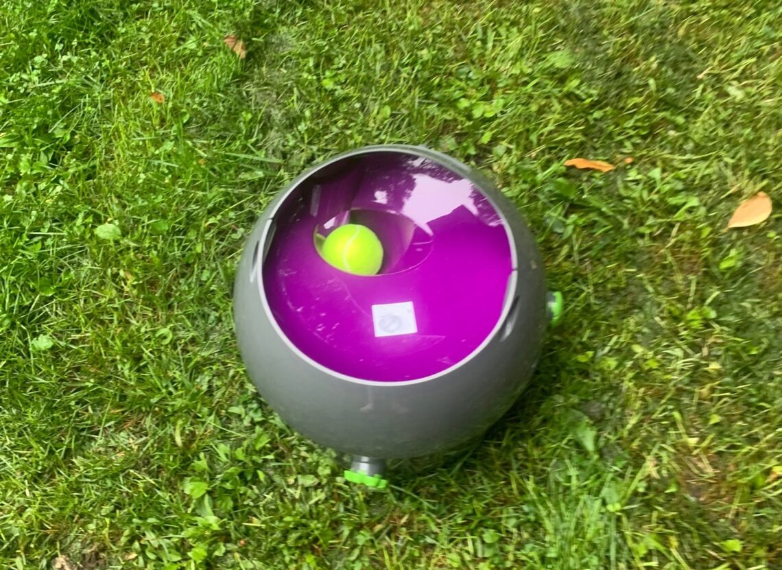 PetSafe Automatic Ball Launcher Review