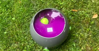 PetSafe Automatic Ball Launcher Review