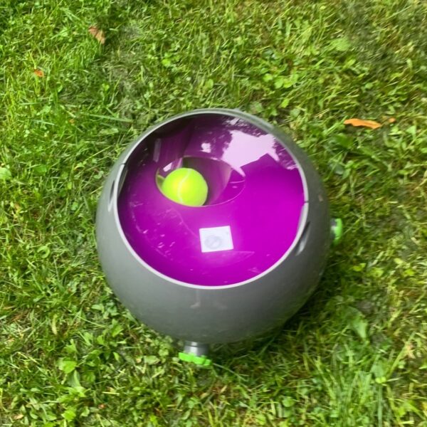 PetSafe Automatic Ball Launcher Review