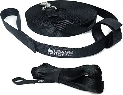 Leash Boss 10 Foot Dog Leash with Padded Handle