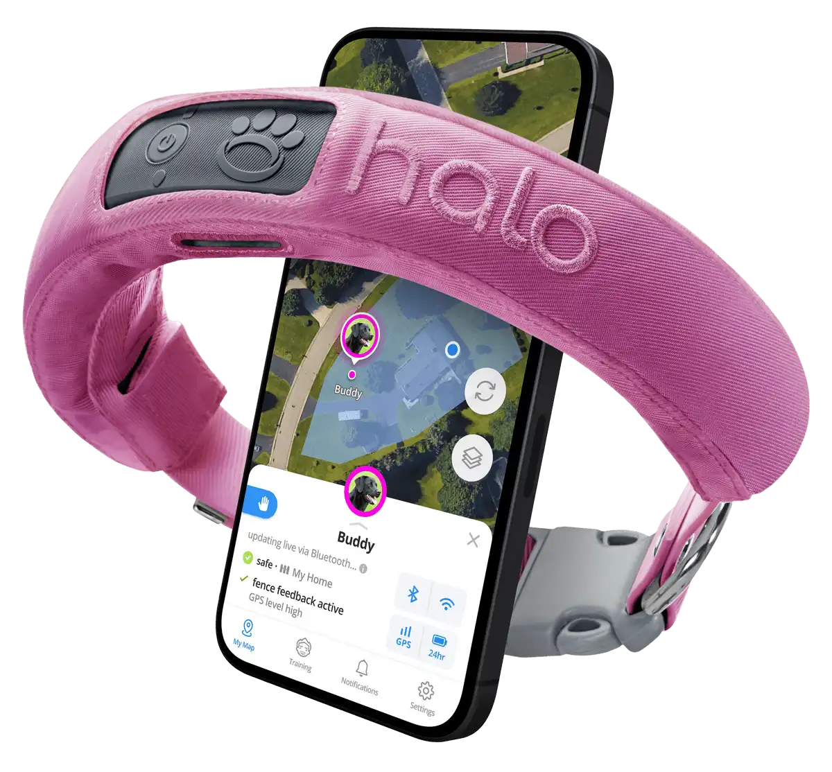Halo Collar 5 GPS Wireless Dog Fence