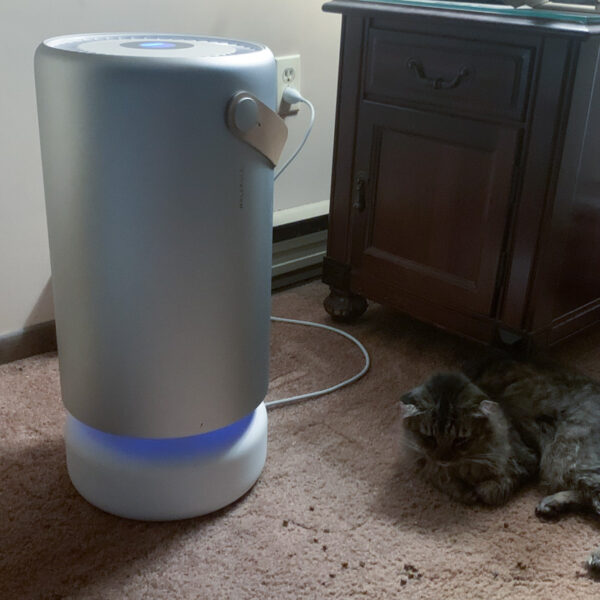Molekule air pro air purifier review