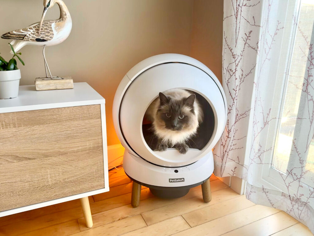 PetSafe SmartSpin