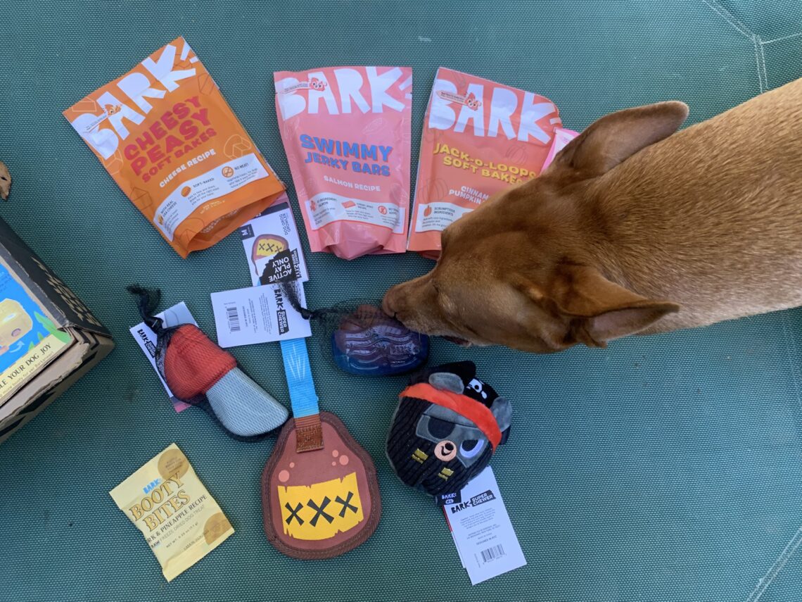 10 Best Indestructible Dog Toys for Power-Chewers