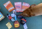 10 Best Indestructible Dog Toys for Power-Chewers