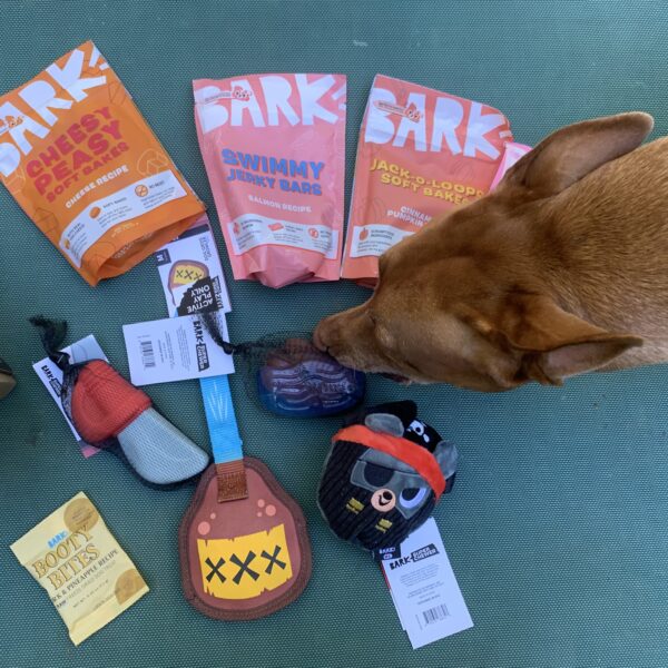 10 Best Indestructible Dog Toys for Power-Chewers