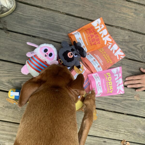 BarkBox Review: Why This Dog Subscription Box is Worth the Hype!