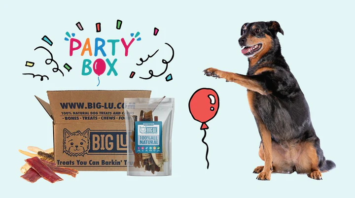 Big-lu Party Box Dog Subscription Box
