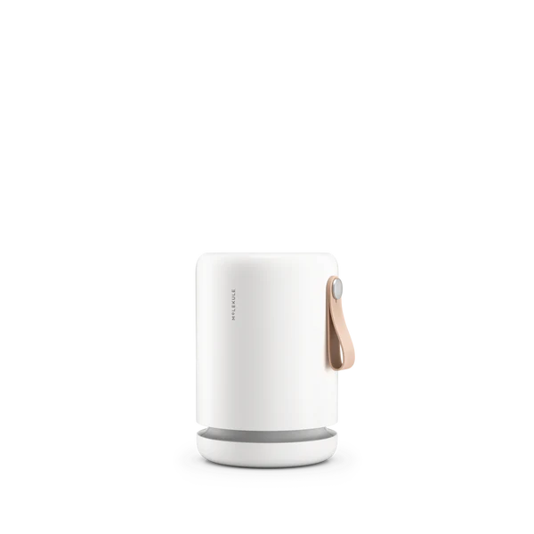 Molekule Air Mini+ | Air Purifier for Small Home Rooms up to 250 sq. ft.