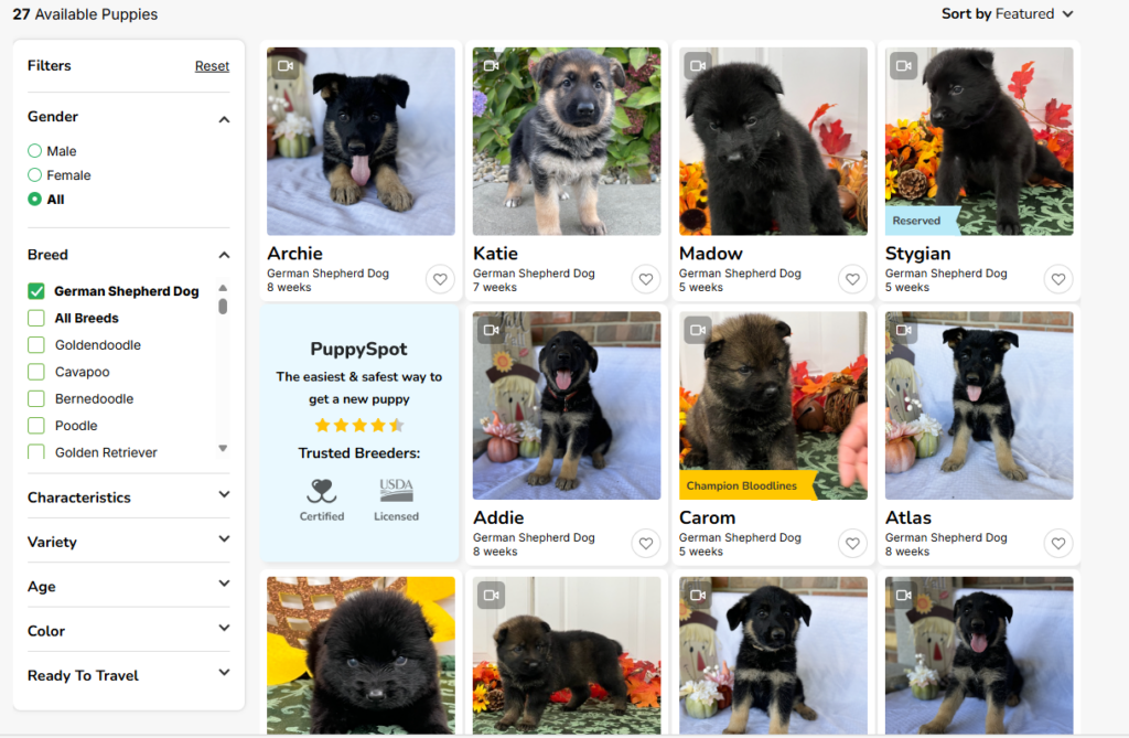 puppyspot German Shepherds
