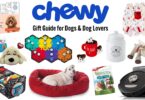 Chewy gift guide for dogs and dog lovers