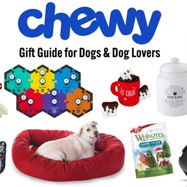 Chewy gift guide for dogs and dog lovers