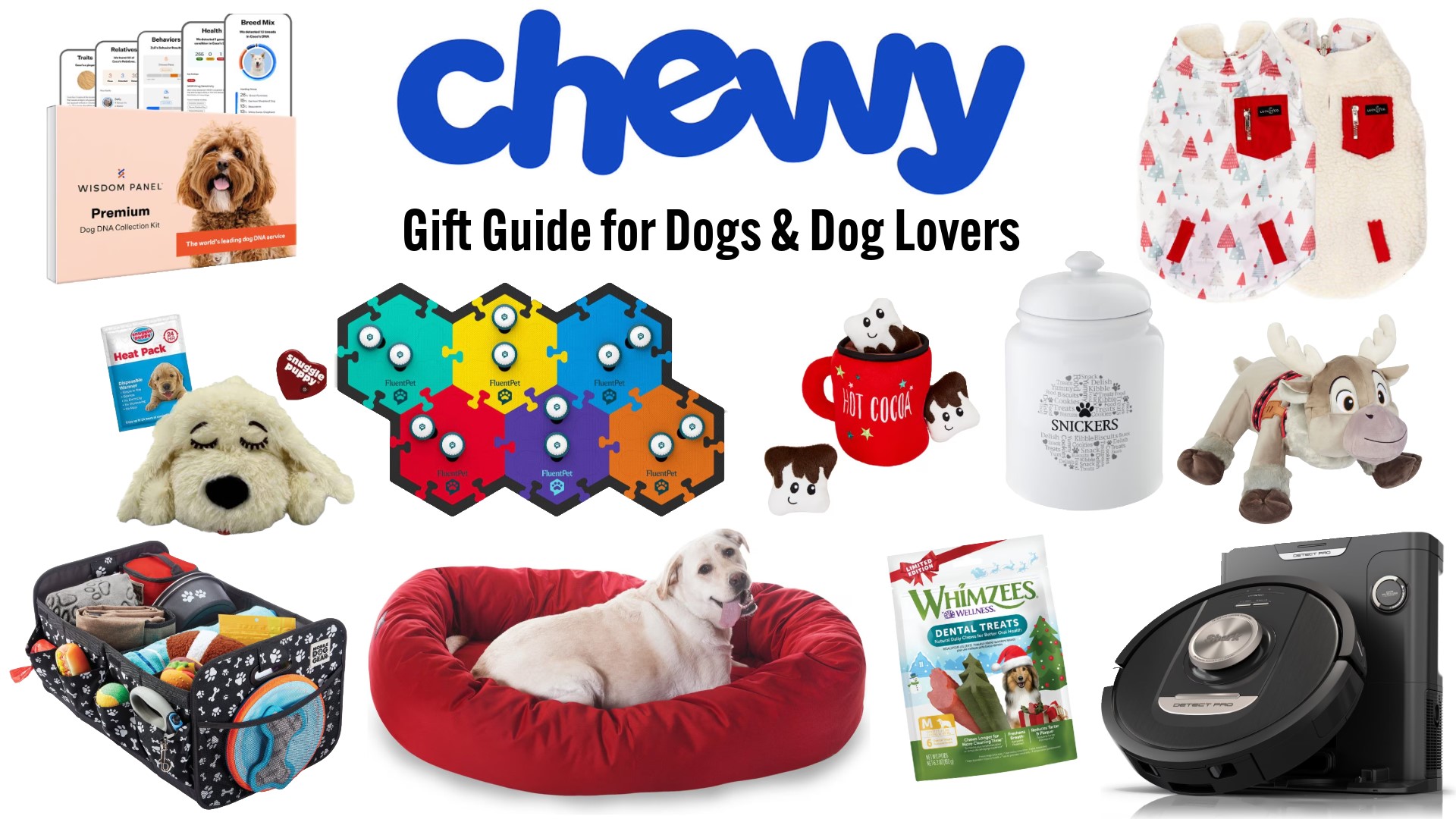 Chewy gift guide for dogs and dog lovers