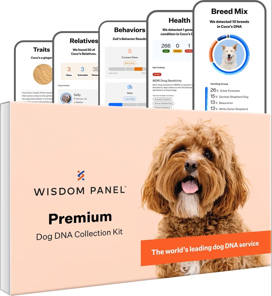 Wisdom Panel Premium Breed Identification & Health Condition Identification DNA Test for Dogs