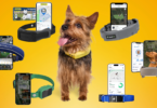 Dog wearing a GPS collar surrounded by multiple smart dog GPS collars and tracking apps, comparing the best GPS dog collars for location tracking and virtual fences