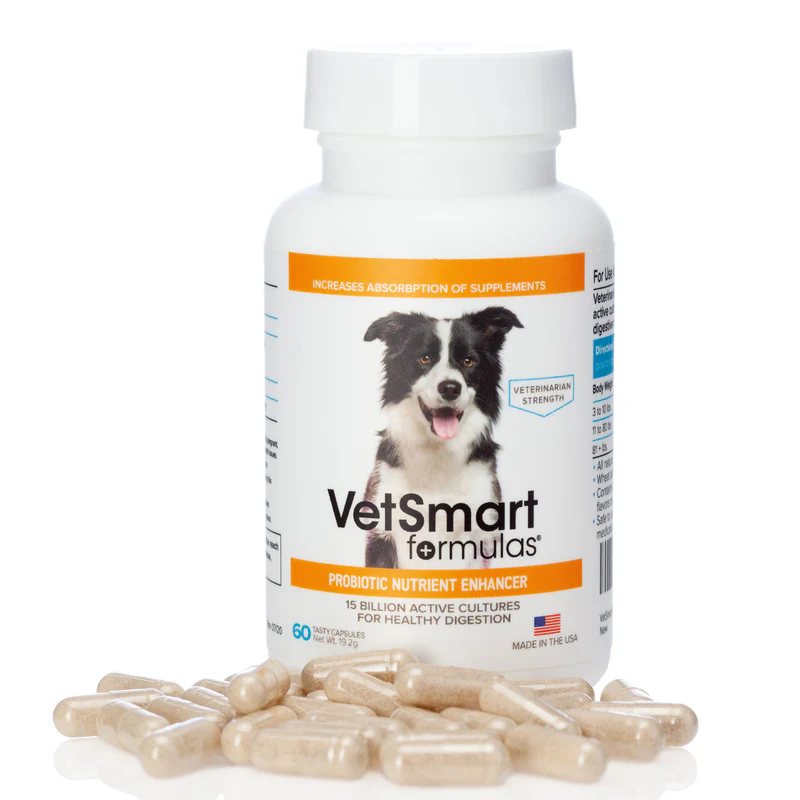 Probiotic Supplement – Probiotic Nutrient Enhancer for Dogs – Pet Wellness Direct