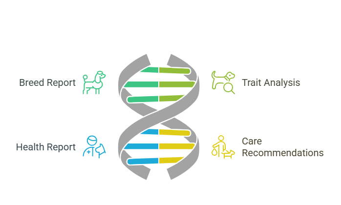 Basepaws Dog DNA Test