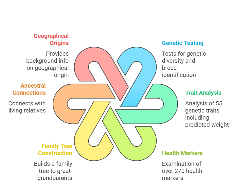 Embark Dog DNA Test overview