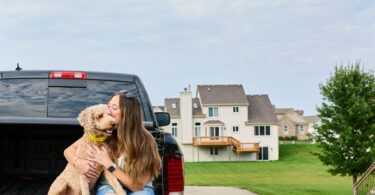 Best Smart Dog Collars for Multi-Dog Households 