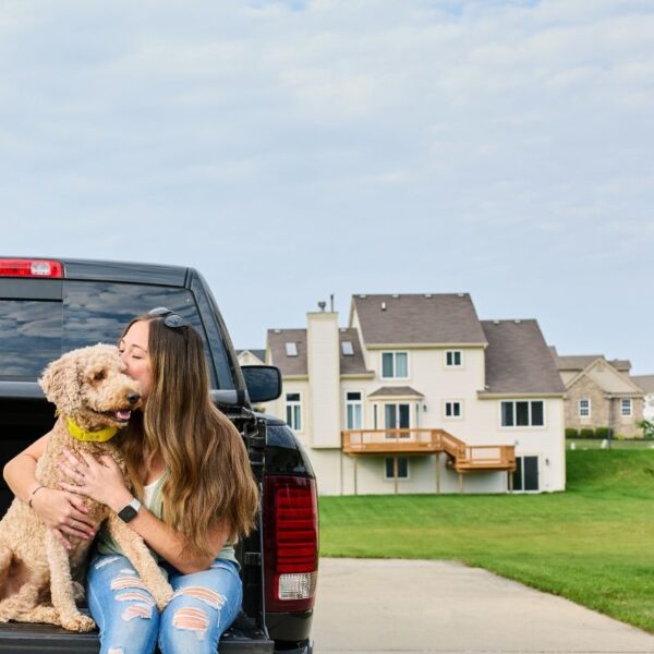 Best Smart Dog Collars for Multi-Dog Households 