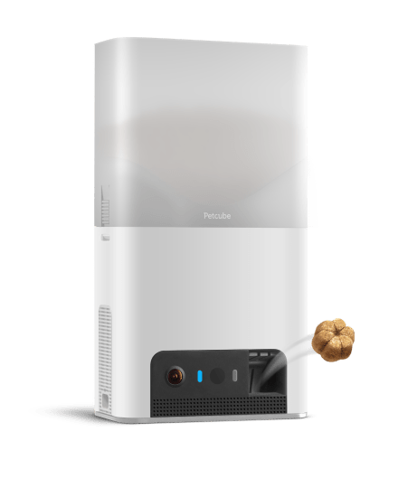 Petcube Bites 2 Lite