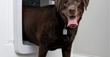 SmartDoor Connected Pet Door