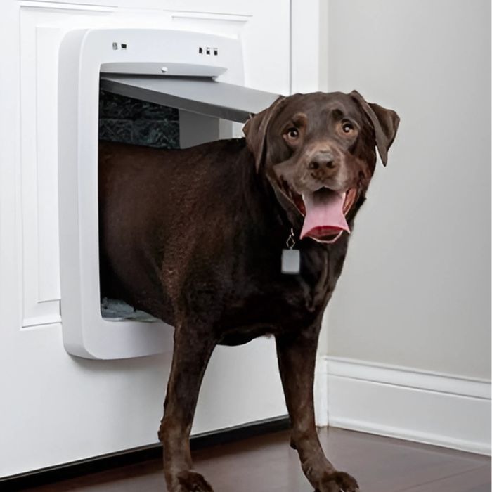 SmartDoor Connected Pet Door | PetSafe®